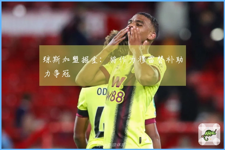 琼斯加盟掘金：将作为穆雷替补助力争冠